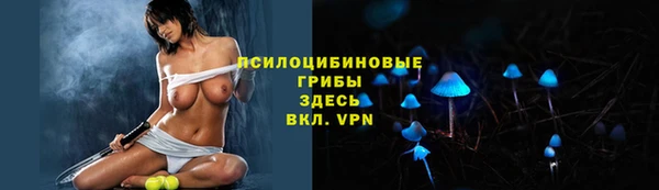спайс Баксан