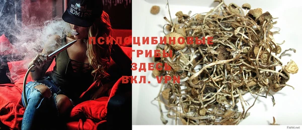 спайс Баксан
