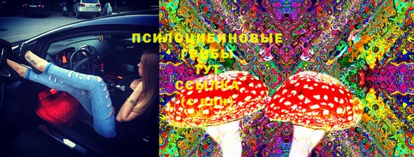 спайс Баксан