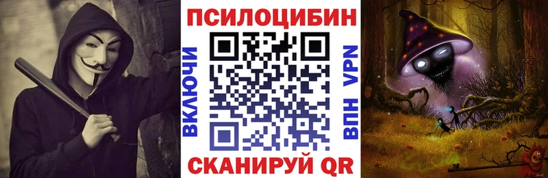Галлюциногенные грибы мицелий  закладка  Боровск 
